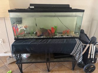55 gallon fish tank, stand, and accessories