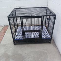 Dog Kennel 