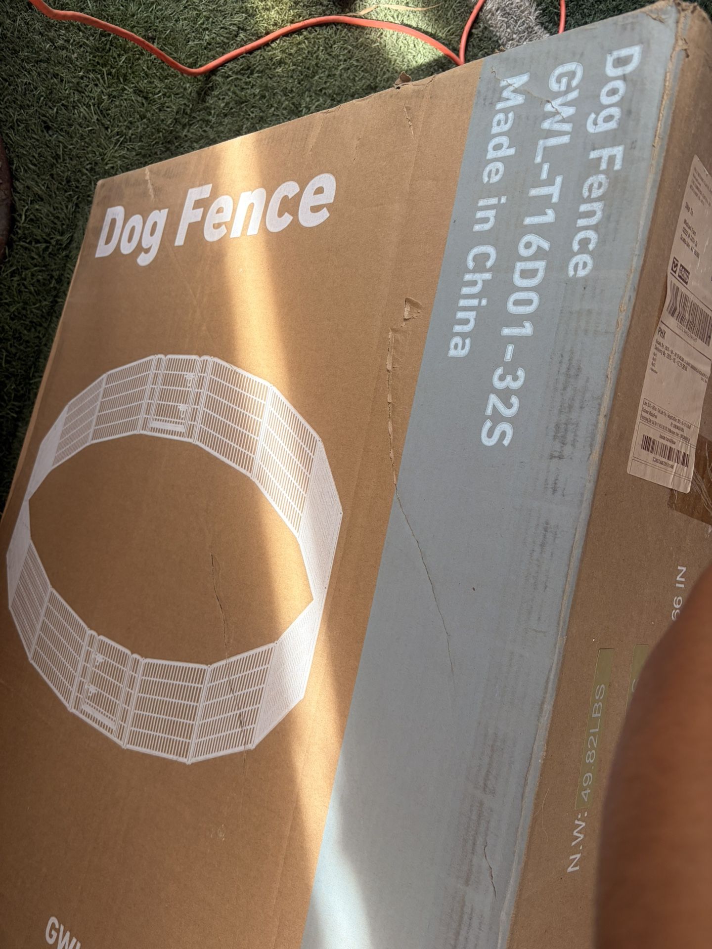 Dog Fence 