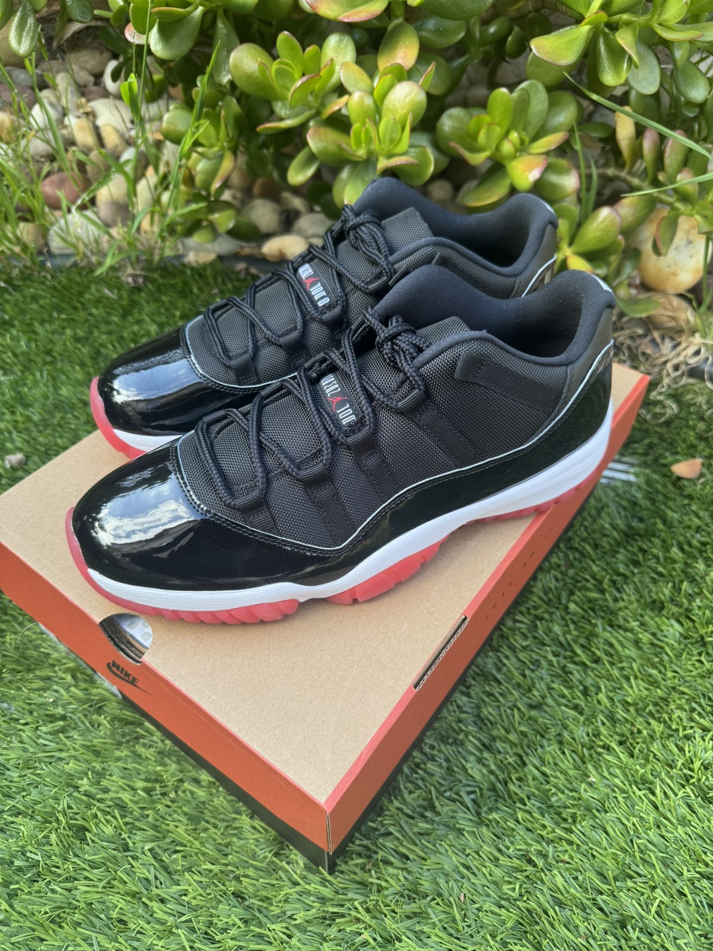 Jordan Retro 11 Low Bred Playoff Size 12