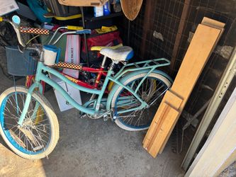 Husky beach cruiser