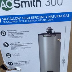 AO Smith 12 Year Warranty $660 Delivered 
