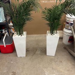 Nearly Natural Ferns 