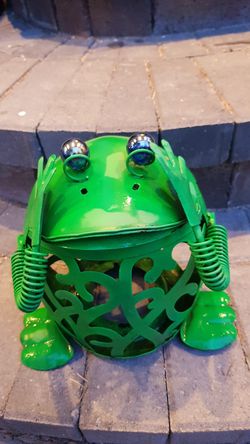 Outdoor/indoor frog