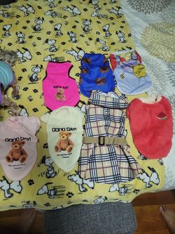Dogs Clothes 