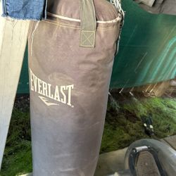 Everlast Punching Bag 