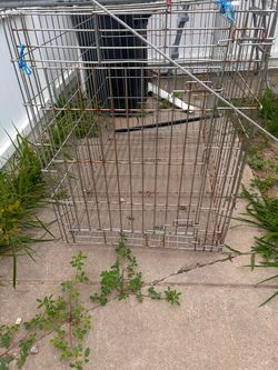 Bird cage