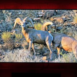 65" Samsung 4K Smart TV (UHD) - Excellent Condition