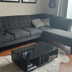 Sectional Couch