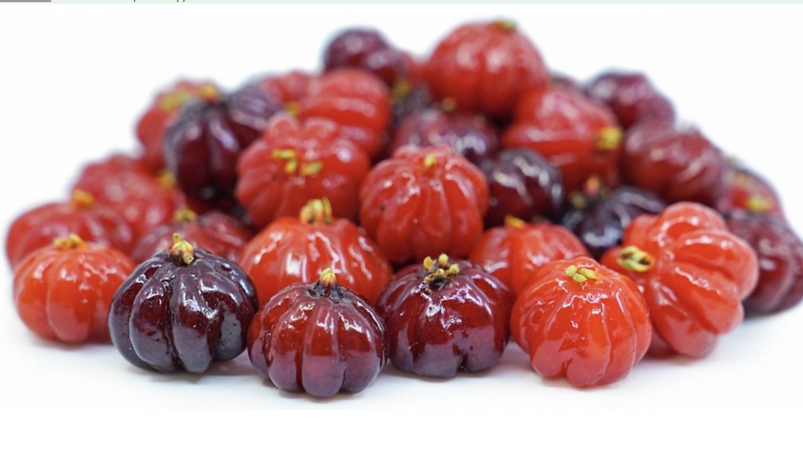 Surinam Cherries Tree Plant Acerola for Sale in Orlando, FL OfferUp