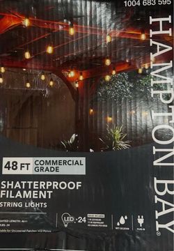 24-Light 48 ft. Indoor/Outdoor Plug-In Filament LED S14 Edison Bulb String-Light