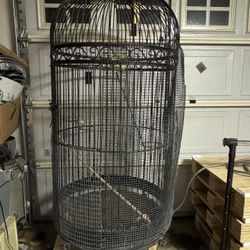 BIG birds Cage