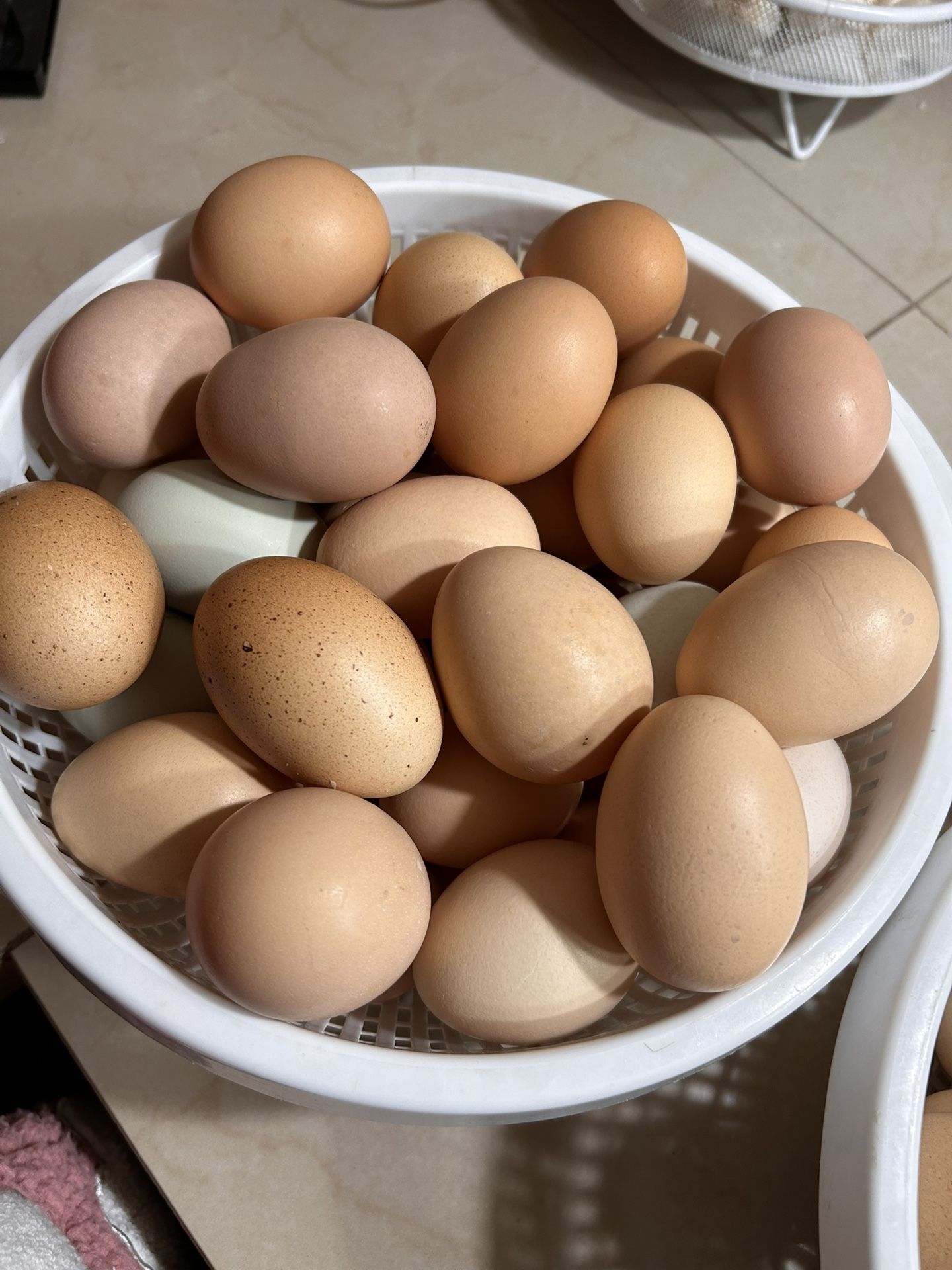 Farm fresh Eggs