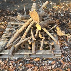 Peach Tree! Smokin Wood Barbecue Wood Cooking Wood