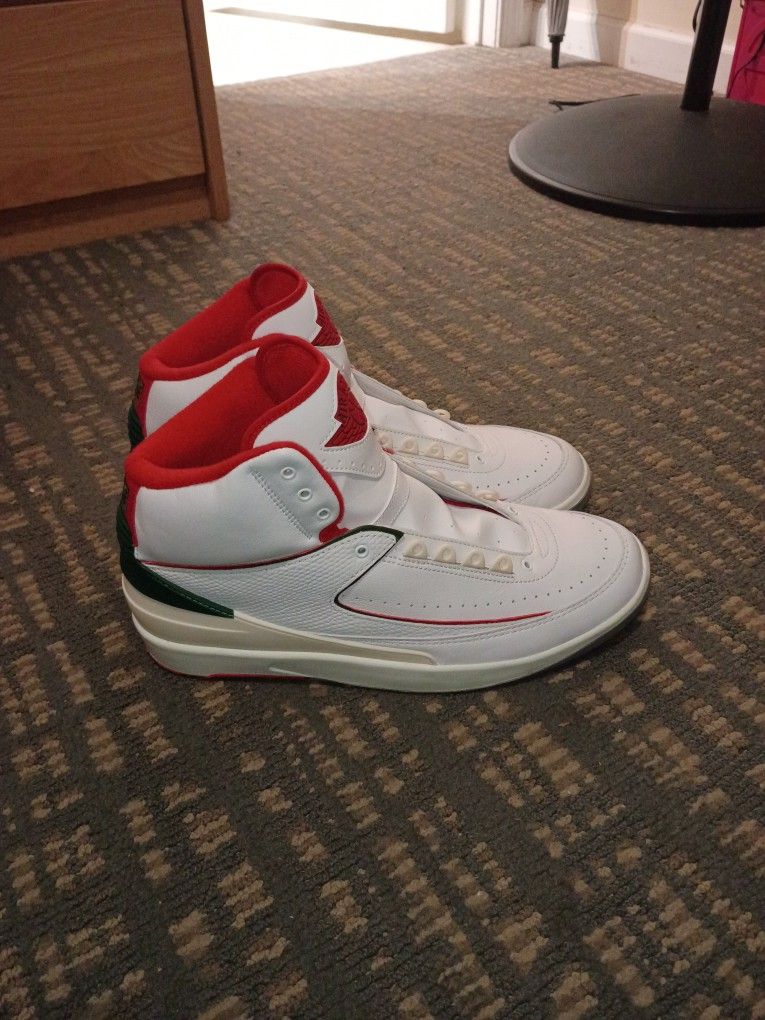 Nike Air Jordan 2 Retro Origins