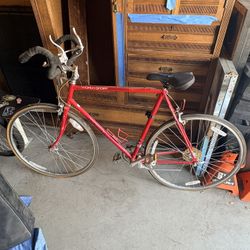 1980’s Schwinn World Sport 