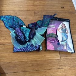 Mermaid Costume 