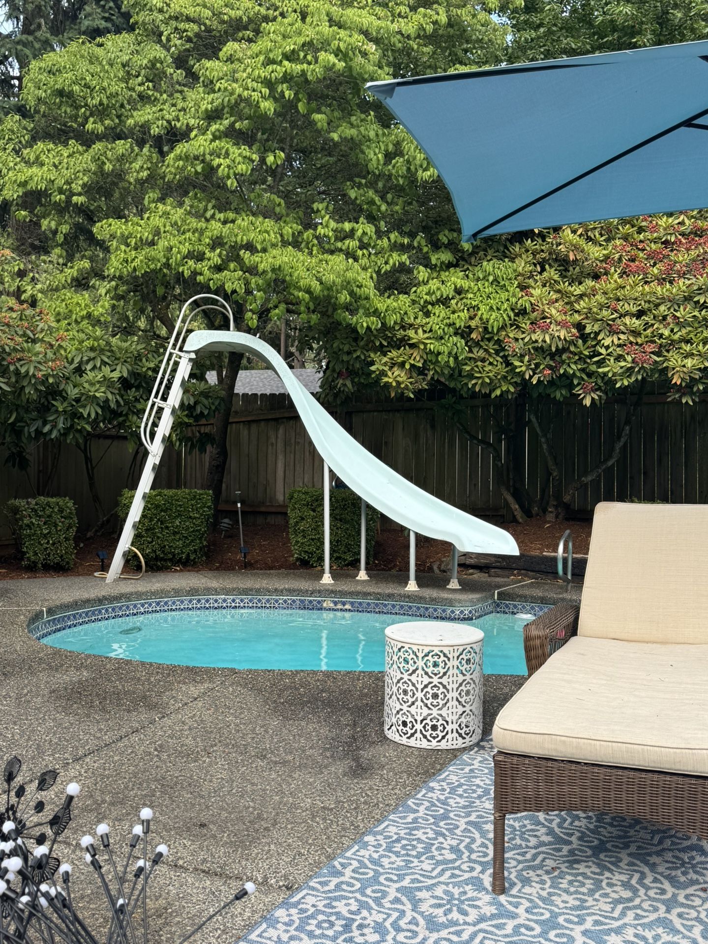 Pool Slide