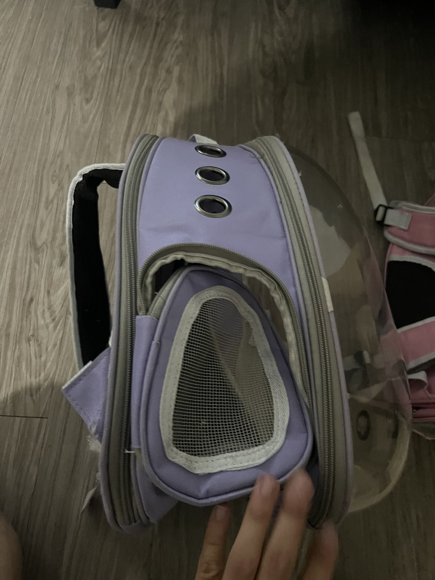 Cat Backpack
