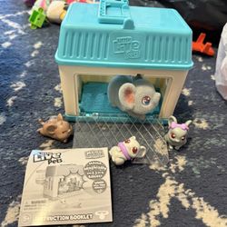 Little Live Pets 