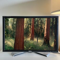 Dell 24” Monitor