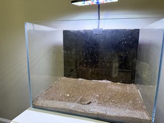 10 gallon aquarium