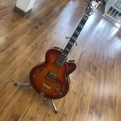 Ibanez Acoustic Electric Guitar 