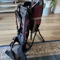 REI Tag-A-Long child carrier backpack