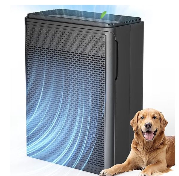 Large Area Air Purifier
