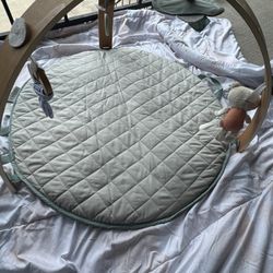 Ingenuity Baby Gym