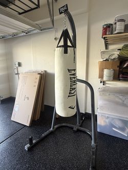 Everlast Elite Punching bag and Stand