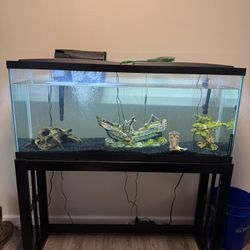 55 Gallon Fish Tank 