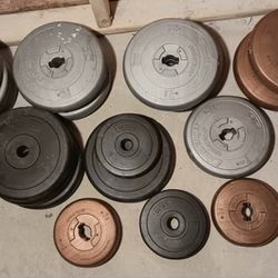 20 Pieces of Weight Plates 