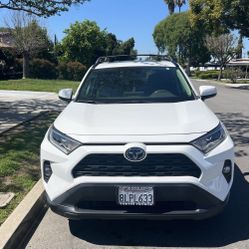 2019 Toyota Rav4 Hybrid
