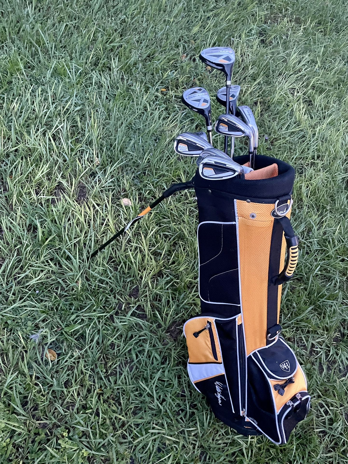 Walter Hagen MS2 Full Golf Iron Set