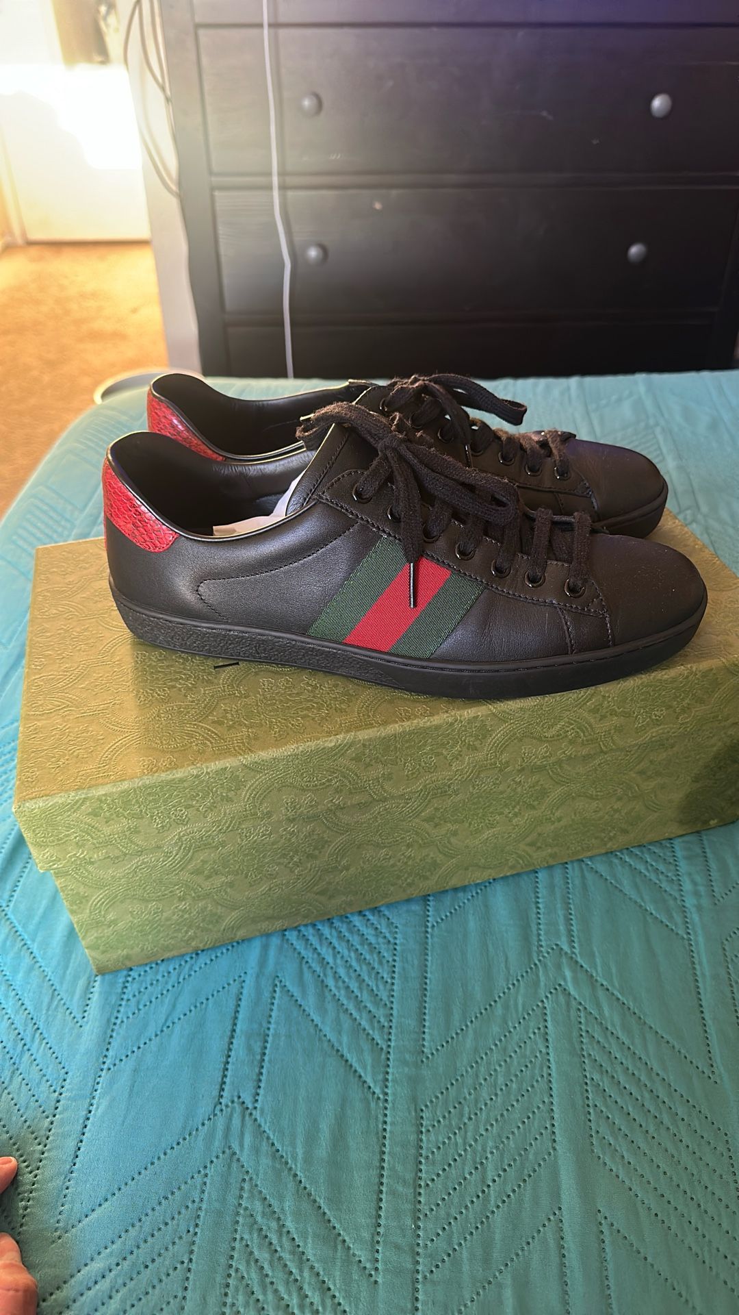gucci