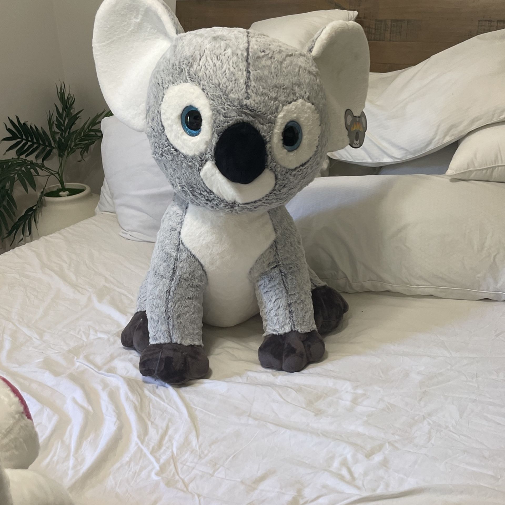 Extra Large Fair Stuffed Animal Prize Koala