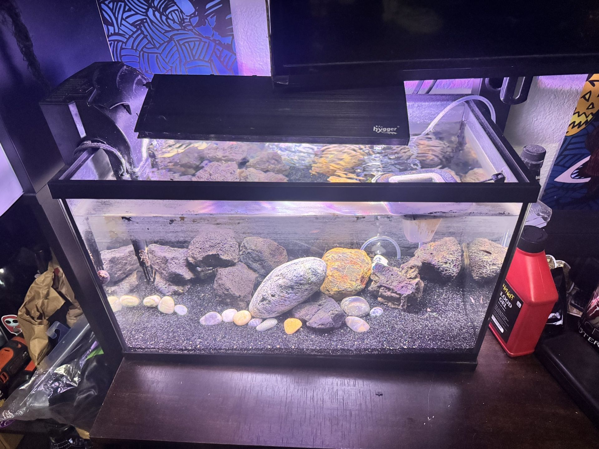 Fish Tank Set Up