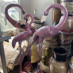 Flamingos