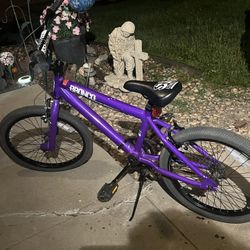 20” SE Racing Aluminum BMX Bike