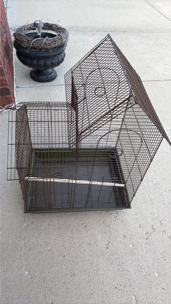 Bird Cage