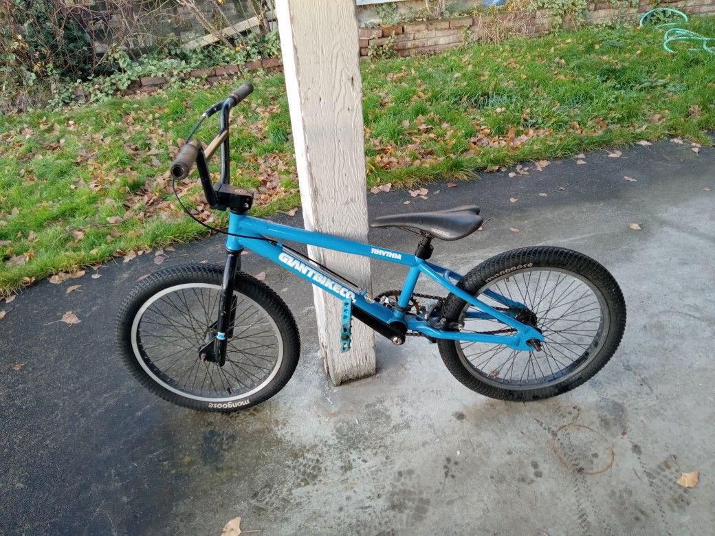 2003 Giant Rhythm BMX Bicycle 20