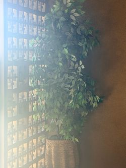 Fake plant