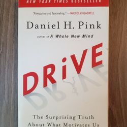 Drive: The Surprising Truth About What Motivates Us