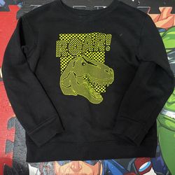 Boys 4t Dinosaur Sweater