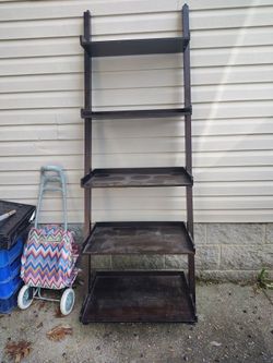 Ladder shelf