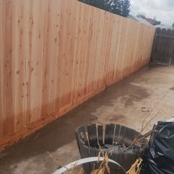 Fence 