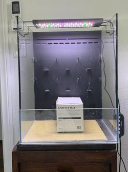 ForestA Paludarium 