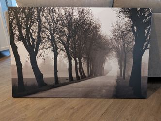 Large Canvas Wall Art - Sepia / Black & White Foggy Tree Avenue Landscape