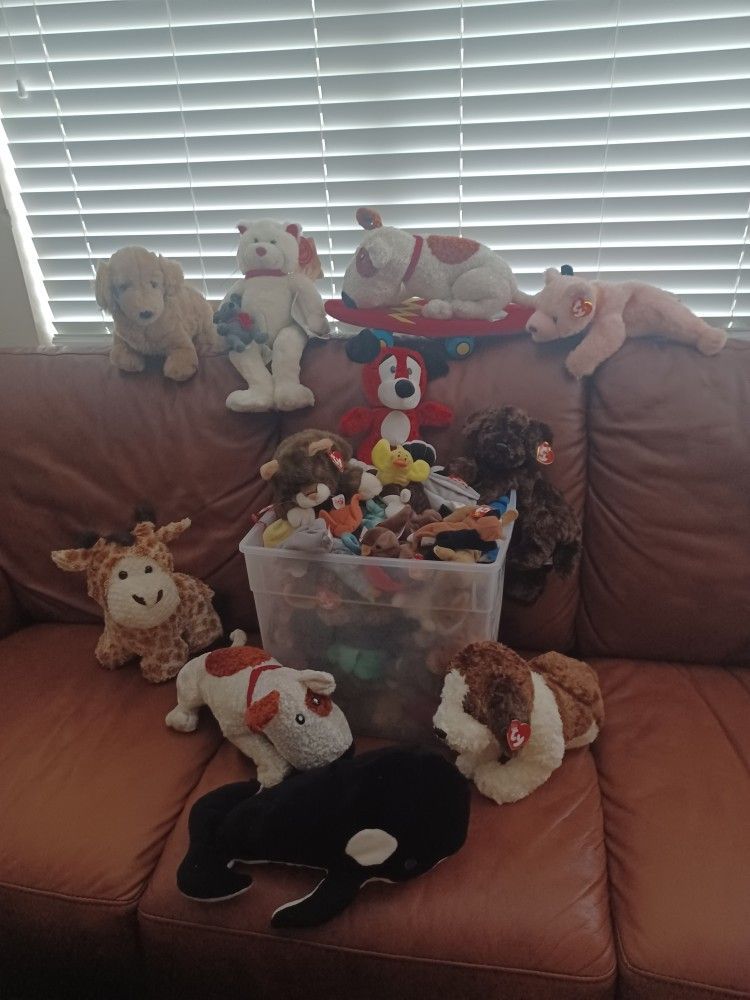 🧸 Selling a large, clean collection of original TY Beanie Babies—most with tags intact and stored safely in bins over the years.
📦 Includes a wide